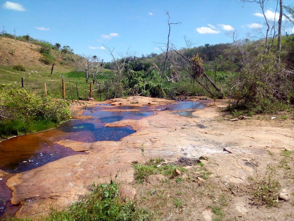 Curso d'água em área de estudo ambiental