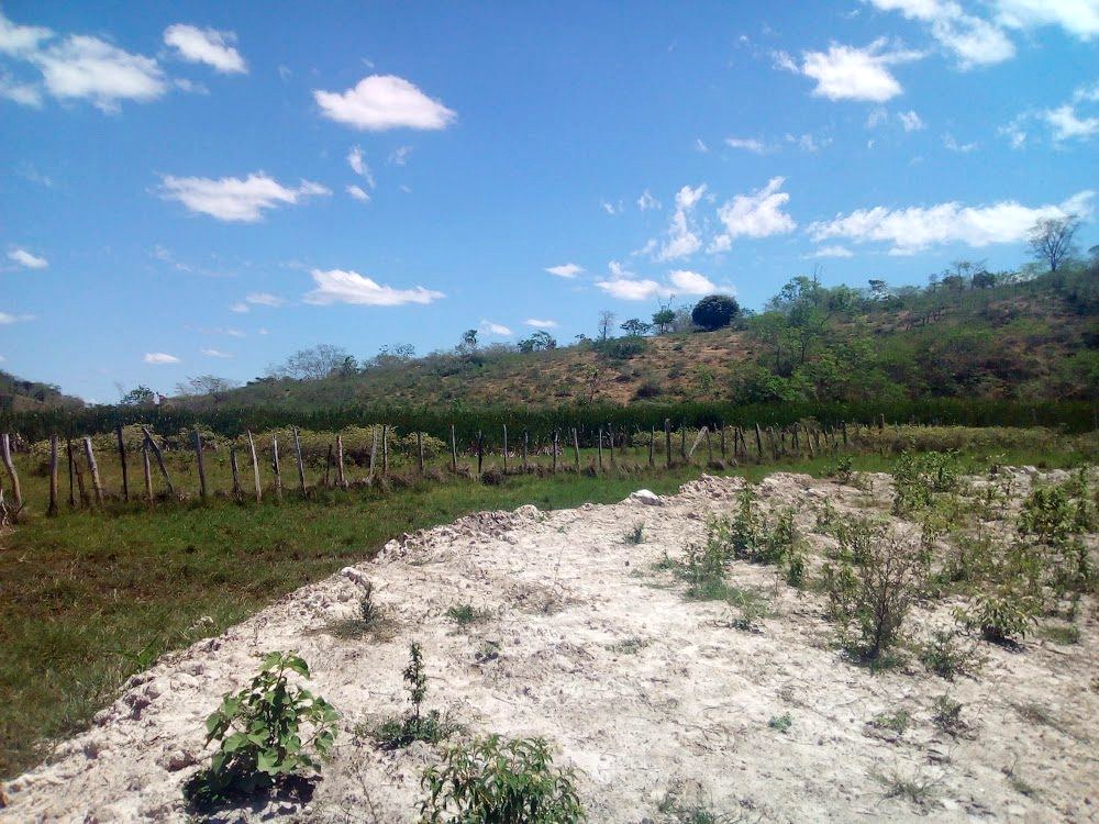 Área degradada em recuperação (PRAD)